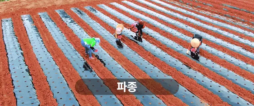 [김도훈PICK] 옳곡 땅콩버터/아몬드버터 골라담기 8종 택 1 상세페이지 37